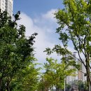 배산체육공원 풋살장 이미지