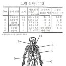 가을추 이미지