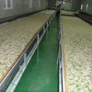 태양농장 이미지