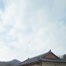 화랑愛 네이버블로그