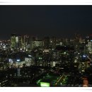 샛별여행 이미지