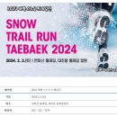 태백산눈축제 2024 이미지