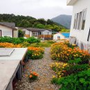 누리마당민박 이미지