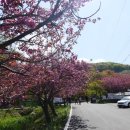 문수사(서산)