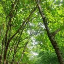 경춘선숲길 이미지