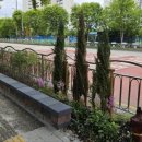 송내초등학교1 이미지