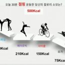 점핑핏카
