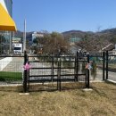 폴앤도기 동남캠퍼스 이미지