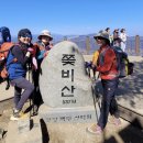 3월 19일(수) 쫓비산(매화) 광양 537m 산행예약.^^ 이미지