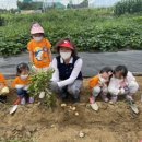(주)행복한농장 이미지
