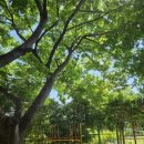 허문공원 이미지