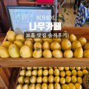 카페나무(cafe NAMU) | 보홀 맛집 나무카페 솔직후기 NAMOO CAFE