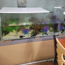 죽전리 | 청주 점심 맛집 가덕면 여자만궁중칼국수 쑥면 콩국수 내돈내산 후기