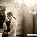 파인위드 이미지