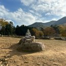 대치목장 | 5살 아이와 11월 남해 양떼목장 양마르뜨언덕 동물 먹이주기 체험 _토끼, 양, 말까지! 솔직 후기