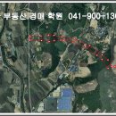 대로1-3 Daum카페