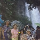 제주의 추억 이미지