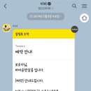 바비숑펫살롱 이미지