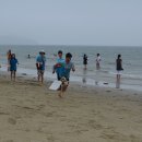 장삼포해수욕장 이미지