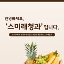 스미래청과