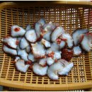 상운사천 이미지