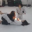 안양주짓수파크 이미지