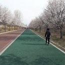 수원-지만-321 이미지