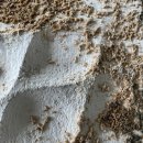 이용주건축사사무소 이미지