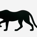 쿨한 강아지 이미지