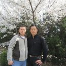 팔레스주점