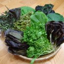 대실농장 이미지