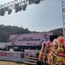아름다운 인생이야기 | 봄날의 절정, 마음까지 물들이는 충남 천안 위례벚꽃축제 여행 이야기