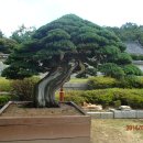 운보미술관 이미지