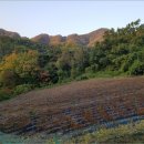 덕곡리경로당 이미지