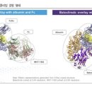 한올바이오파마(주) 티스토리