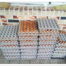 부송국수 이미지