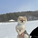 한국목장 이미지