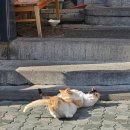 카일룸 | [인천 부평폴댄스] 카일룸스튜디오 후기