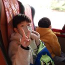 세종 효 태권도 이미지