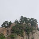 묘봉2리 | ♣️ 운필(雲筆), 나홀로 속리산(俗離山) 묘봉(妙峰) 산행(山行) ... !!