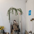 부산 목공학원 :: 내일배움카드로 쑤제가구학원 다닌 후기 :) _ 01 내일배움카드/ 국비지원 / 원목가구...