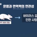 더모스트핏 이미지