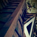 장정구 복싱 이미지