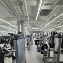 (주)신흥 광주지점 | [신흥 헬스] 운동하고 싶게 만드는 머신 천국! '헤일로짐 신흥점' 솔직 후기