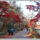 호수공원 입구 이미지