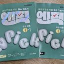 엔픽(N-peak) 이미지