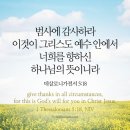 스트레스에 명약이 있습니다 이미지