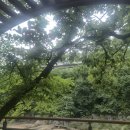 해망정 | 망해암의특징과역사 안양8경망해암일몰 망해암등산코스추천