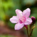 봄과가을이 이미지