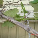 세신농장 이미지